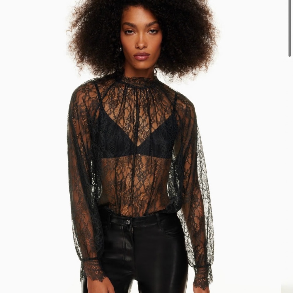 Aritzia Black Sheer Fitted Blouse